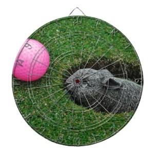 DSCF0652.JPG DARTSCHEIBE