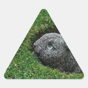 DSCF0652.JPG DREIECKIGER AUFKLEBER