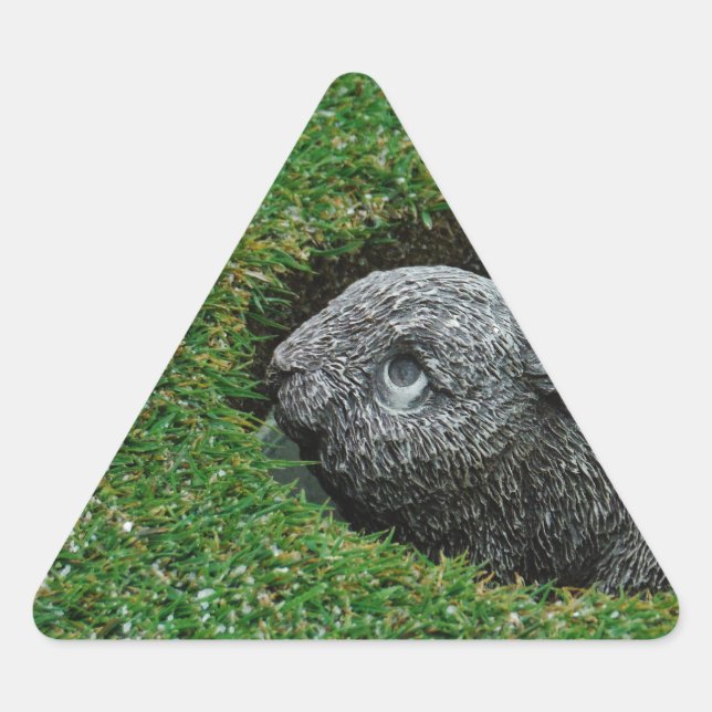 DSCF0652.JPG DREIECKIGER AUFKLEBER (Vorderseite)