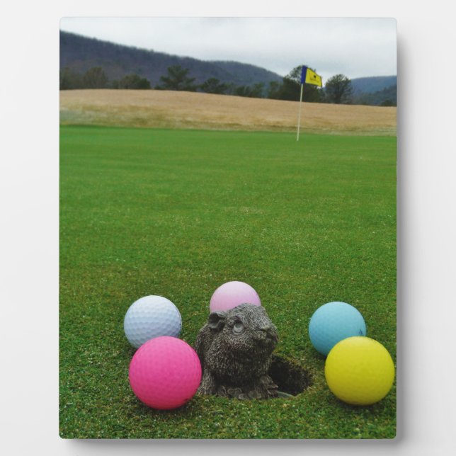 DSCF0692.JPG FOTOPLATTE (Vorderseite)