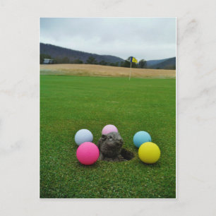 DSCF0692.JPG POSTKARTE