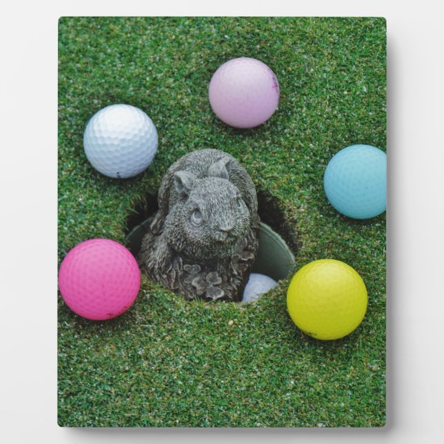 DSCF0698.JPG FOTOPLATTE (Vorderseite)