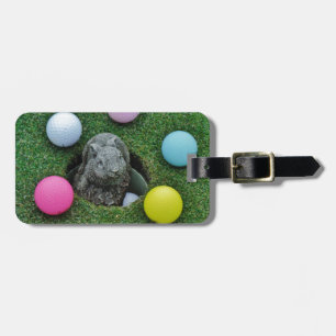 DSCF0698.JPG GEPÄCKANHÄNGER