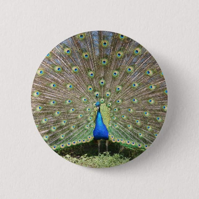 DSCF1062 BUTTON (Vorderseite)