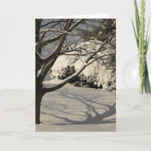 DSCF1184, Schlitten Feiertagskarte