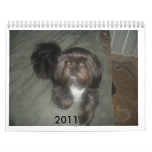 DSCF1937,                             2011 KALENDER