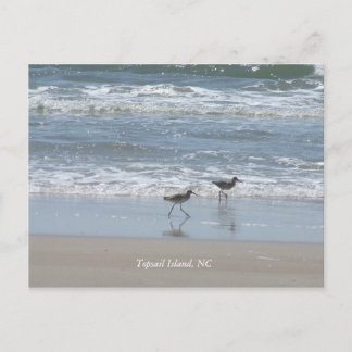DSCF2949, Topsail Island, NC Postkarte