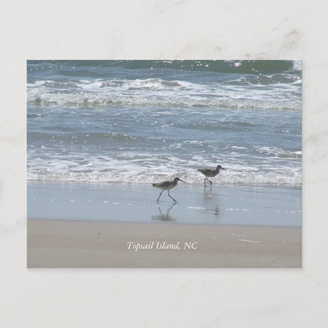 DSCF2949, Topsail Island, NC Postkarte (Vorderseite)