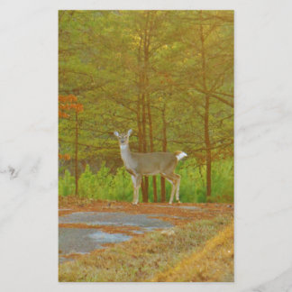 DSCF4041.JPG BRIEFPAPIER