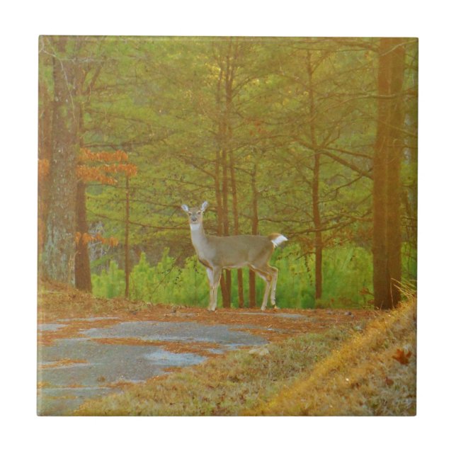 DSCF4041.JPG FLIESE (Vorderseite)