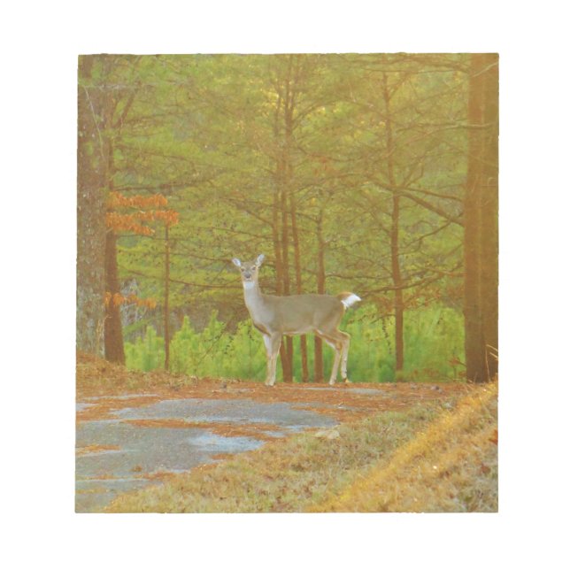 DSCF4041.JPG NOTIZBLOCK (Vorderseite)