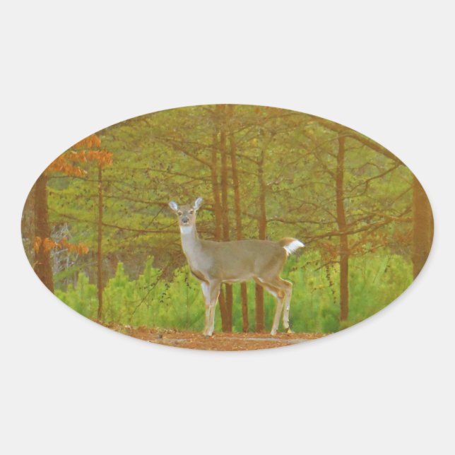 DSCF4041.JPG OVALER AUFKLEBER (Vorderseite)