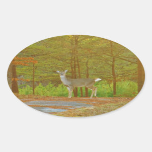 DSCF4041.JPG OVALER AUFKLEBER