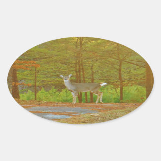 DSCF4041.JPG OVALER AUFKLEBER