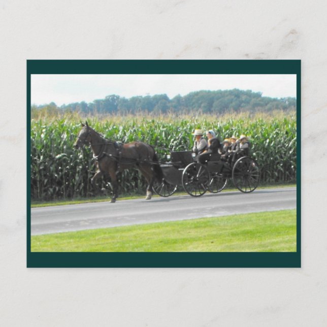 DSCF5964a Postkarte (Vorderseite)