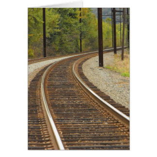 DSCF6914, ~in Ihr words~