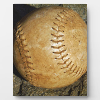 DSCF7523.JPG FOTOPLATTE