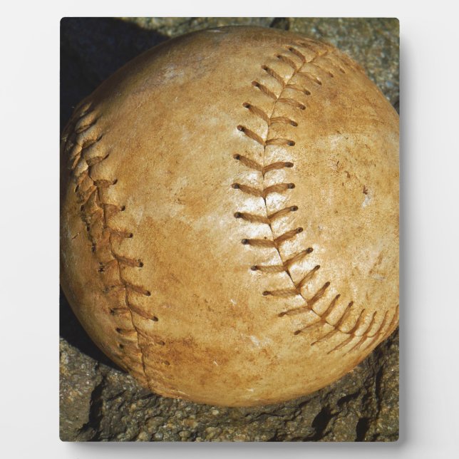 DSCF7523.JPG FOTOPLATTE (Vorderseite)