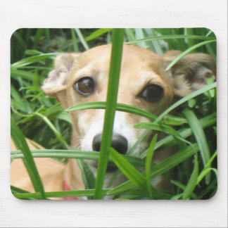 Dschungel Iggy Mousepad