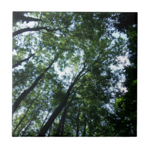 Dschungel Klein (4,25" x 4,25") Keramik-Fotokachel Fliese