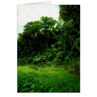 Dschungel / Krokodile Alley