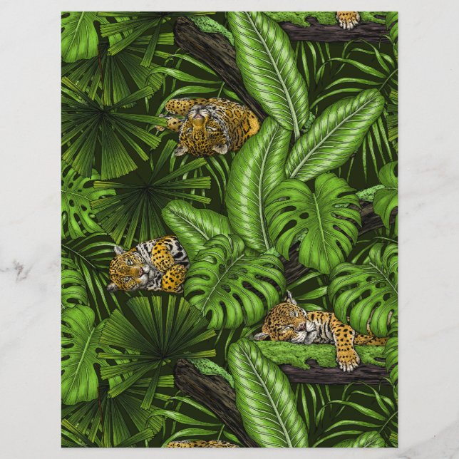 DschungelKätzchen (Vorderseite)