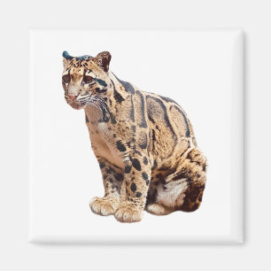 Dschungelkatzentier mit getrübter Leoparde Magnet