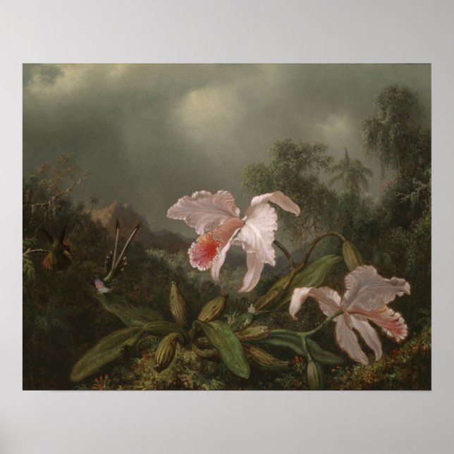 Dschungelorchien und Hummingvögel Poster (Vorne)