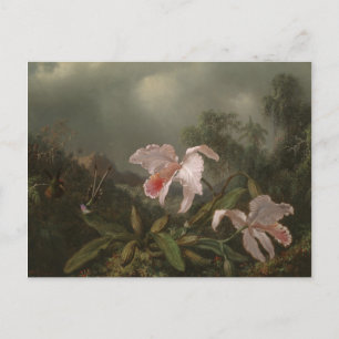 Dschungelorchien und Hummingvögel Postkarte