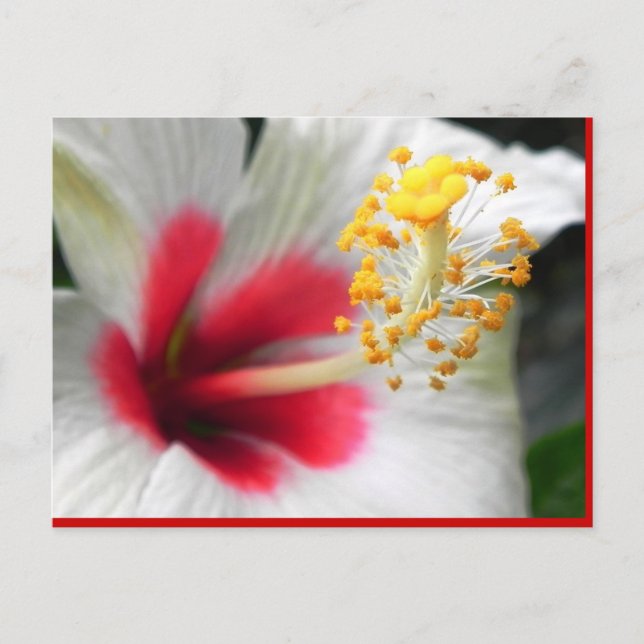 DSCN0387 POSTKARTE (Vorderseite)