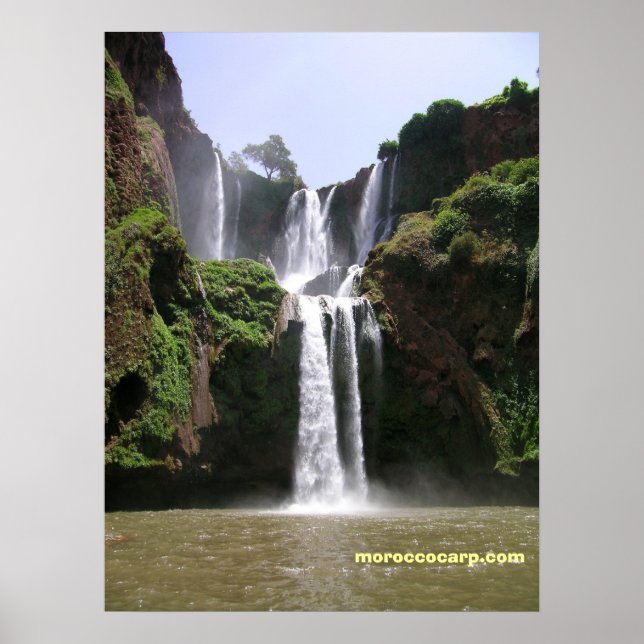 DSCN9348, moroccocarp.com Poster (Vorne)