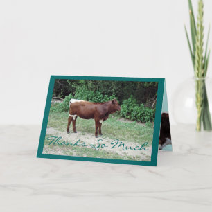 Dsta-Danke-fertigen Sie besonders an Dankeskarte