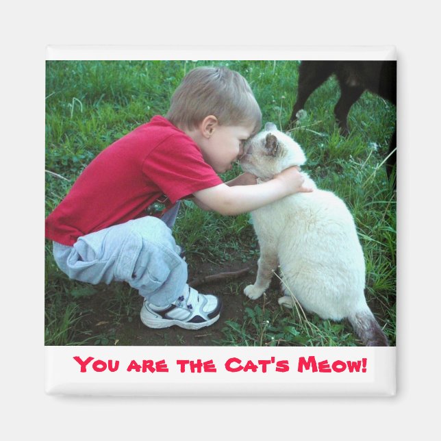 Du bist der Meow der Katze! Magnet (Vorne)