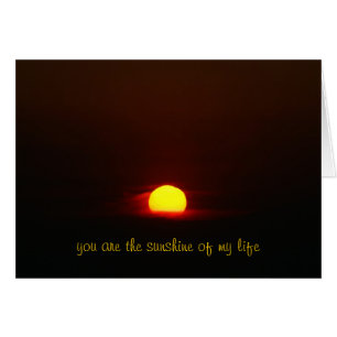 Du bist der Sonnenschein meines Lebens