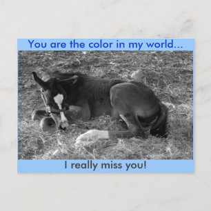 Du bist die Farbe in meiner Welt Postkarte