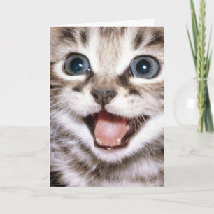 Du bist die Katze Meow! Funny Cat Card Dankeskarte