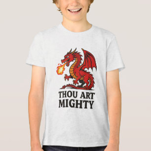 Du bist ein mächtiger roter Drache mit Feueratem Tri-Blend Shirt
