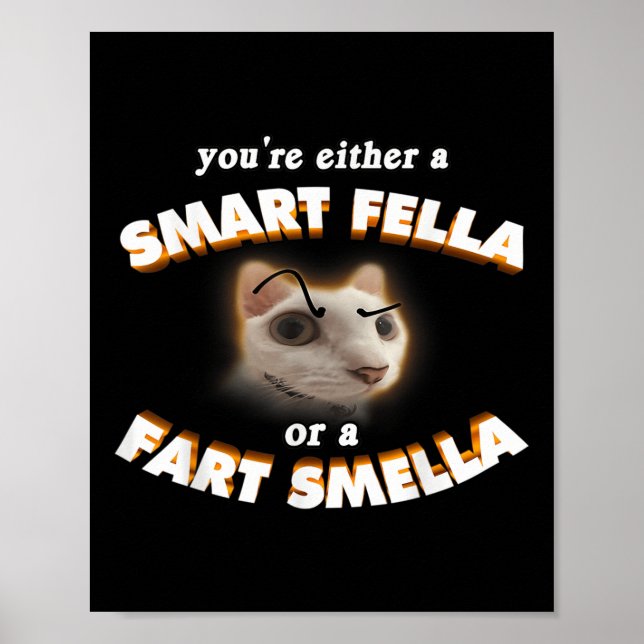 Du bist ein schlauer Kerl oder ein Furzriecher Mem Poster (Vorne)
