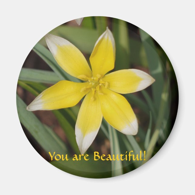 Du bist ein schönes Magnet der Blume (Vorne)