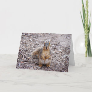 Du bist eine Nuss Karte