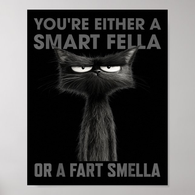 Du bist entweder ein cleverer Kerl oder ein Furz-R Poster (Vorne)
