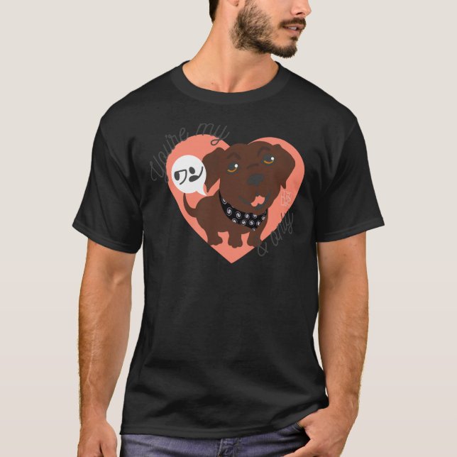 Du bist mein ワ und nur Labrador T-Shirt (Vorderseite)