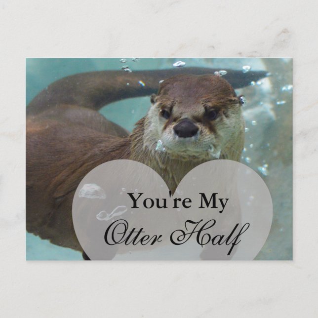 Du bist mein Otter Half Brown River Otter Schwimme Postkarte (Vorderseite)