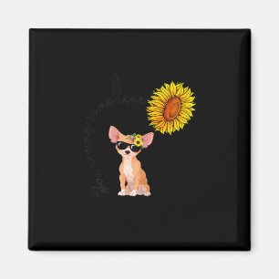 Du bist mein Sonnenschein Chihuahua Sonnenblume Ch Magnet