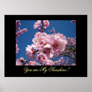 Du bist mein Sonnenschein! Kunstdrucke rosa Blüten Poster