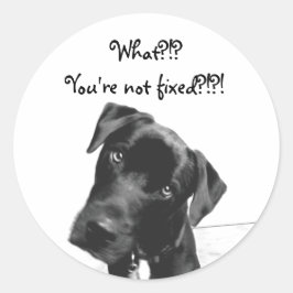 Du bist nicht repariert runder aufkleber