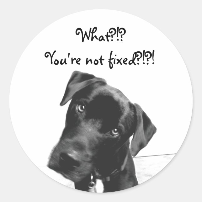 Du bist nicht repariert runder aufkleber (Vorderseite)