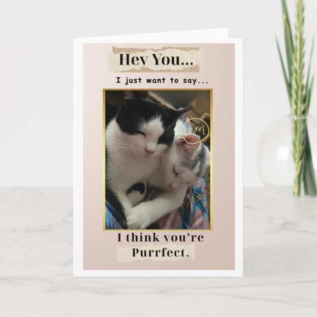 Du bist purr-fekt! karte (Vorderseite)
