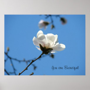 Du bist schön Poster Kunst Blaue Himmel Magnolie