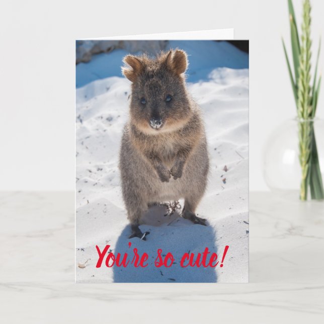 Du bist so Niedlich Quokka am Strand Valentine Karte (Vorderseite)